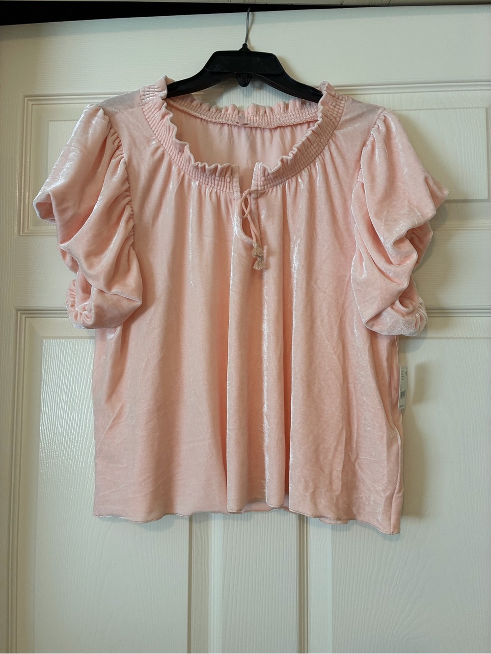 Free People Terese Velvet Top Pink